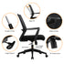 Ergonomic Mesh Conference Chair