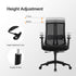 Ergonomic Mesh Task Chair